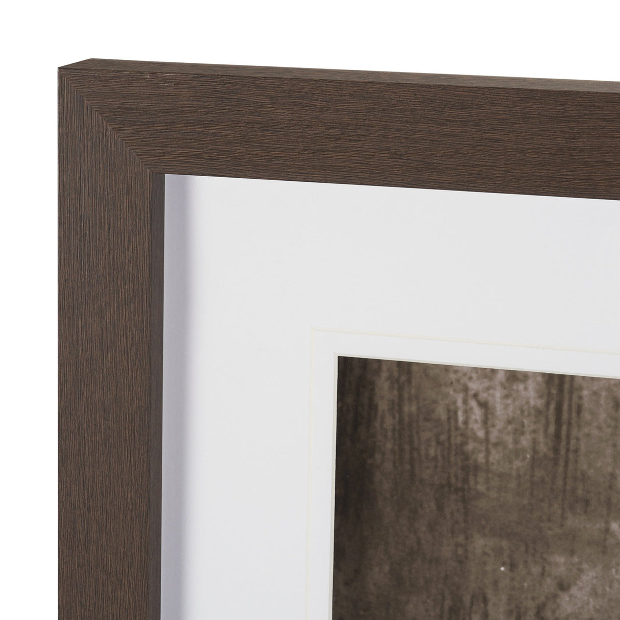 We See You Dogs by Jim Dratfield Framed Photo Print under Glass from Mercana - Luna Furniture