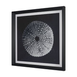 Urchin Still Life I by Nathan Larson a Hand Embellished Framed Photo Art Print Matted under Glass from Mercana - Luna Furniture