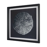 Urchin Still Life II by Nathan Larson a Hand Embellished Framed Photo Art Print Matted under Glass from Mercana - Luna Furniture