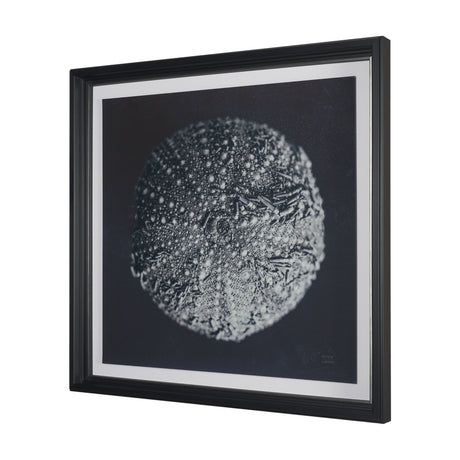 Urchin Still Life II by Nathan Larson a Hand Embellished Framed Photo Art Print Matted under Glass from Mercana - Luna Furniture