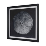Urchin Still Life III by Nathan Larson a Hand Embellished Framed Photo Art Print Matted under Glass from Mercana - Luna Furniture