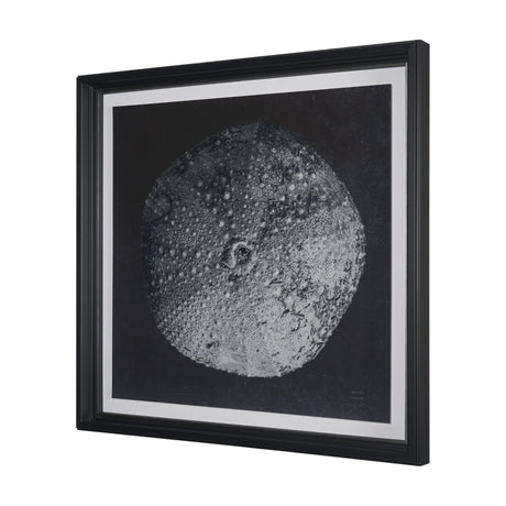 Urchin Still Life III by Nathan Larson a Hand Embellished Framed Photo Art Print Matted under Glass from Mercana - Luna Furniture