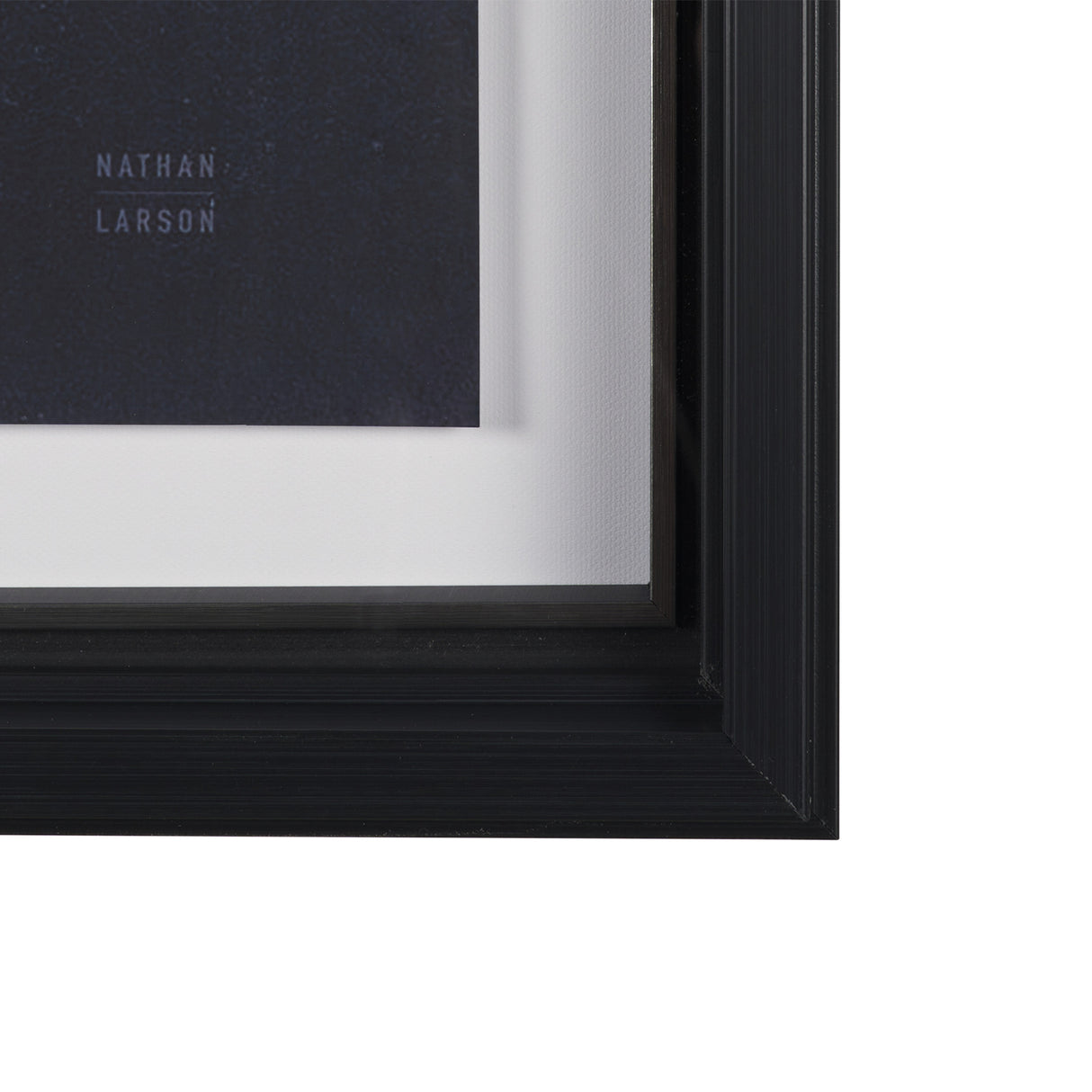 Urchin Still Life III by Nathan Larson a Hand Embellished Framed Photo Art Print Matted under Glass from Mercana - Luna Furniture