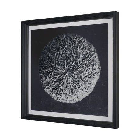 Urchin Still Life IV by Nathan Larson a Hand Embellished Framed Photo Art Print Matted under Glass from Mercana - Luna Furniture