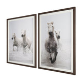 Determination Horse(Set of 2) by Irene Sucocki a Hand Embellished Framed Art Photo Print under Glass from Mercana - Luna Furniture