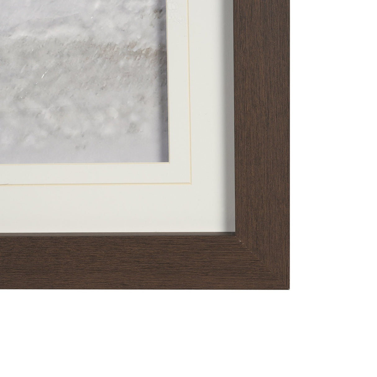 Determination Horse(Set of 2) by Irene Sucocki a Hand Embellished Framed Art Photo Print under Glass from Mercana - Luna Furniture