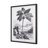 Vintage Palm Tree Drawing I by Les Palmiers Histoire Embellished Textured Framed Canvas from Mercana - Luna Furniture