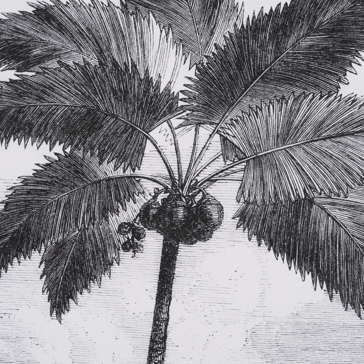 Vintage Palm Tree Drawing I by Les Palmiers Histoire Embellished Textured Framed Canvas from Mercana - Luna Furniture