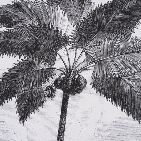 Vintage Palm Tree Drawing I by Les Palmiers Histoire Embellished Textured Framed Canvas from Mercana - Luna Furniture