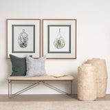 Air Plant 1 by Harvey, Brenna a Framed Art Print Matted under Glass from Mercana - Luna Furniture
