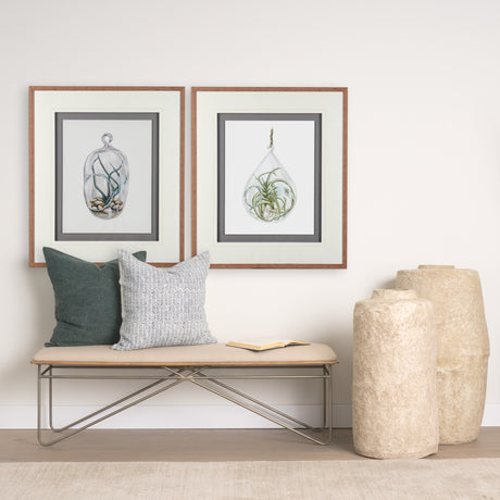 Air Plant 1 by Harvey, Brenna a Framed Art Print Matted under Glass from Mercana - Luna Furniture