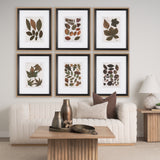 Autumnal Leaves III by Vision Studio a Framed Art Print Matted under Glass from Mercana - Luna Furniture