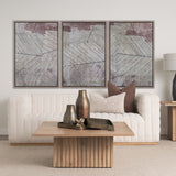 Papyrus Texture II by Mercana Studio a Hand Embellished Textured Framed Canvas from Mercana - Luna Furniture