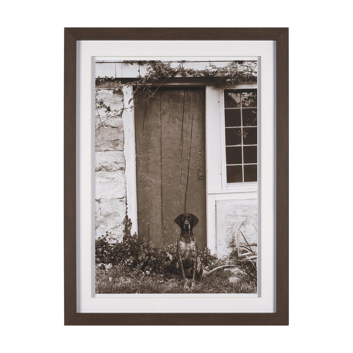 I am Home by Jim Dratfield a Framed Photo Print Matted Under Glass from Mercana - Luna Furniture