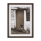 I am Home by Jim Dratfield a Framed Photo Print Matted Under Glass from Mercana - Luna Furniture