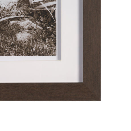 I am Home by Jim Dratfield a Framed Photo Print Matted Under Glass from Mercana - Luna Furniture