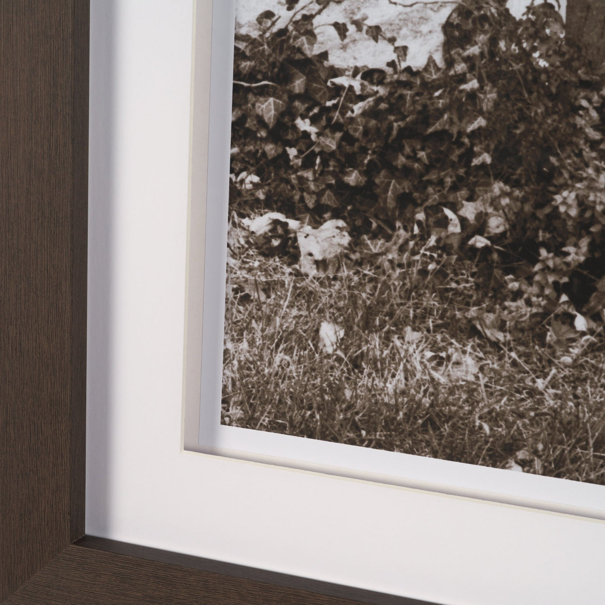 I am Home by Jim Dratfield a Framed Photo Print Matted Under Glass from Mercana - Luna Furniture