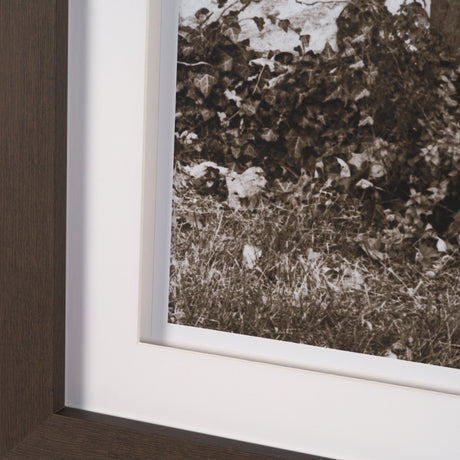 I am Home by Jim Dratfield a Framed Photo Print Matted Under Glass from Mercana - Luna Furniture