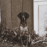 I am Home by Jim Dratfield a Framed Photo Print Matted Under Glass from Mercana - Luna Furniture