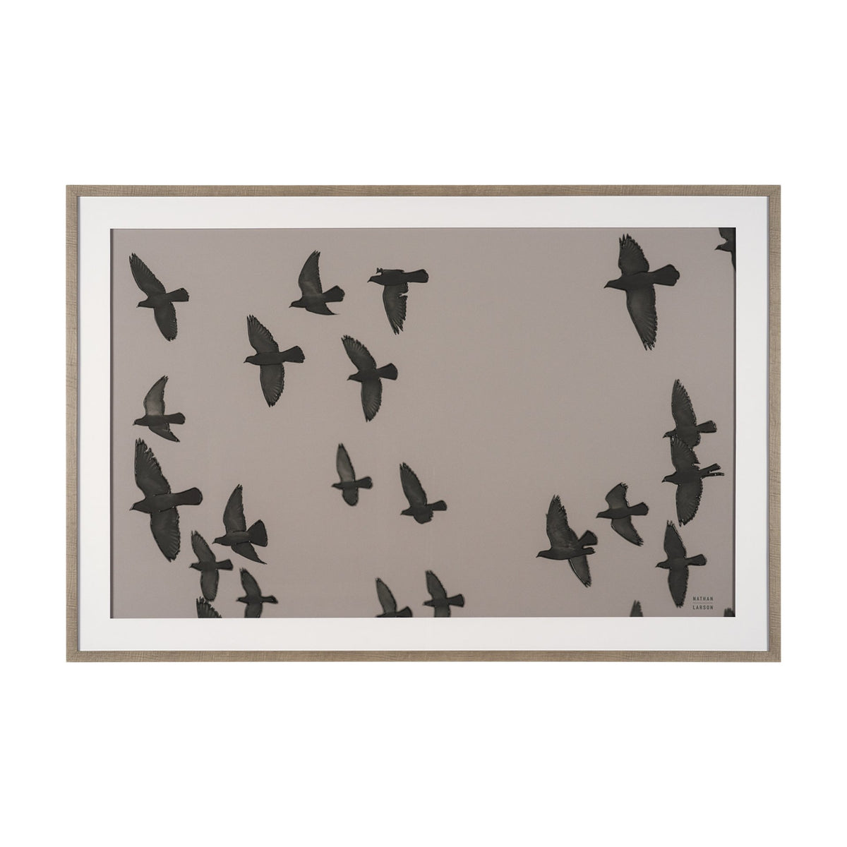 Flock I by Nathan Larson a Hand Embellished Framed Photo Print under G ...