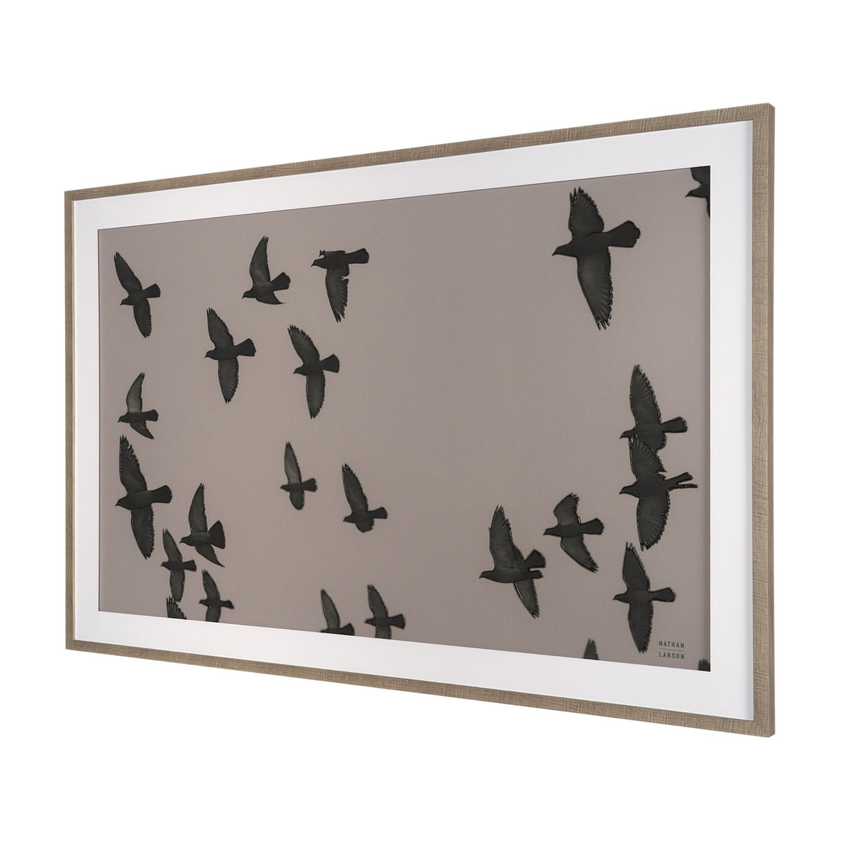 Flock I by Nathan Larson a Hand Embellished Framed Photo Print under Glass from Mercana - Luna Furniture