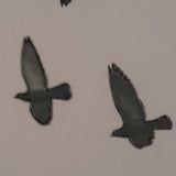 Flock I by Nathan Larson a Hand Embellished Framed Photo Print under Glass from Mercana - Luna Furniture