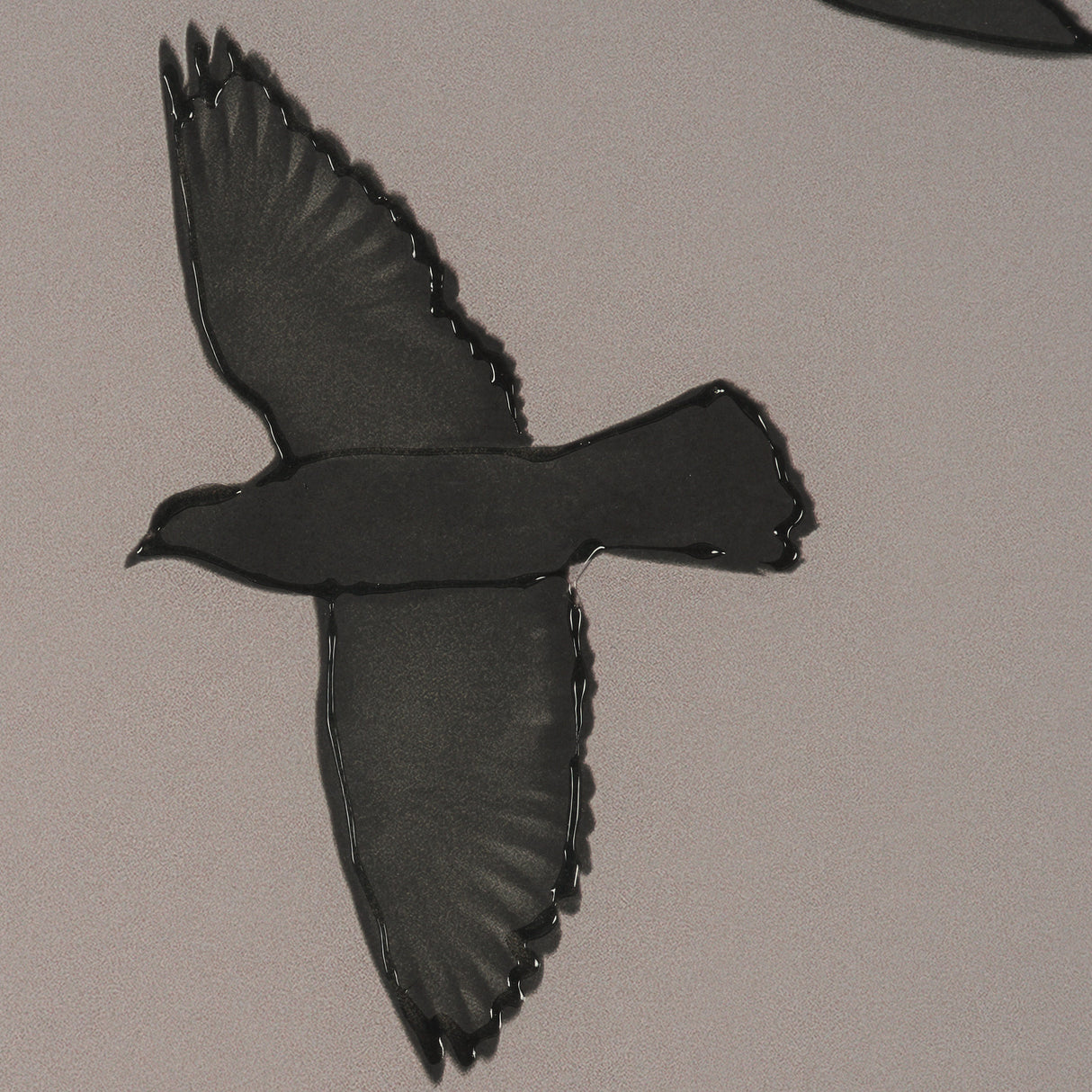 Flock I by Nathan Larson a Hand Embellished Framed Photo Print under Glass from Mercana - Luna Furniture