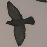 Flock I by Nathan Larson a Hand Embellished Framed Photo Print under Glass from Mercana - Luna Furniture