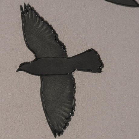 Flock I by Nathan Larson a Hand Embellished Framed Photo Print under Glass from Mercana - Luna Furniture