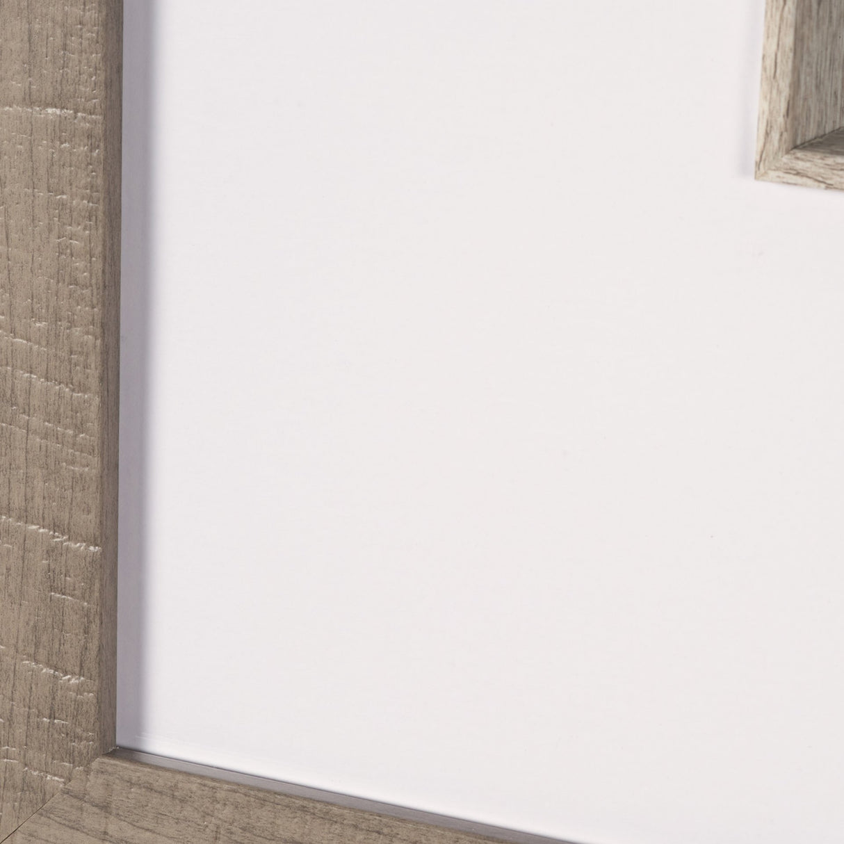 Gilded Grove by Mercana Studio Textured Framed Artwork Matted under Glass from Mercana - Luna Furniture