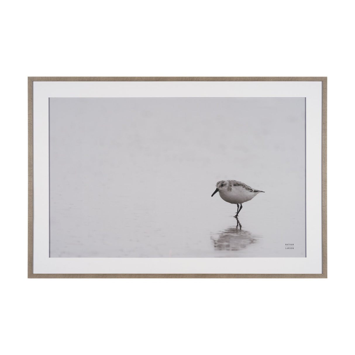 Tybee Island Sanderling by Nathan Larson a Hand Embellished Framed Photo Print under Glass from Mercana - Luna Furniture