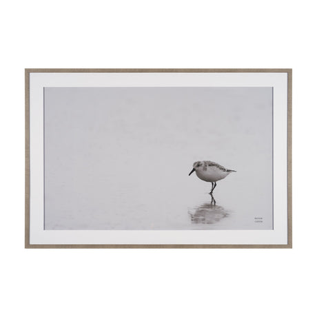 Tybee Island Sanderling by Nathan Larson a Hand Embellished Framed Photo Print under Glass from Mercana - Luna Furniture
