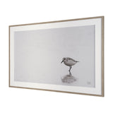 Tybee Island Sanderling by Nathan Larson a Hand Embellished Framed Photo Print under Glass from Mercana - Luna Furniture