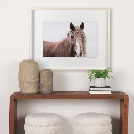 Wild Mane by Mercana Studio a Framed Photo Art Print Matted under Glass from Mercana - Luna Furniture