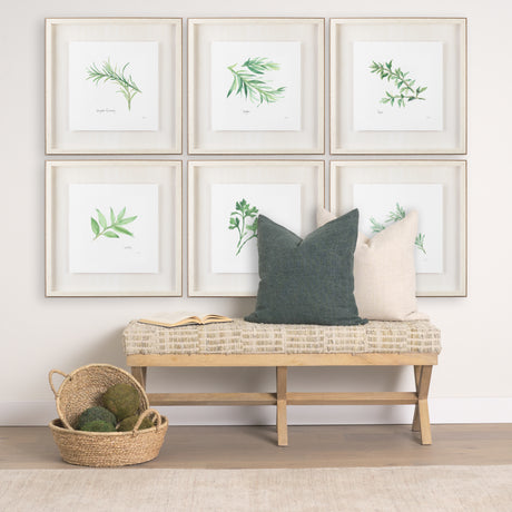 Variegated Rosemary v2 by Chris Paschke a Framed Art Print Matted under Glass from Mercana - Luna Furniture