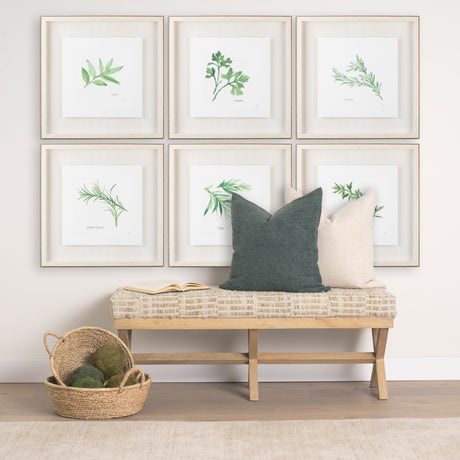 Rosemary v2 by Chris Paschke a Framed Art Print Matted under Glass from Mercana - Luna Furniture