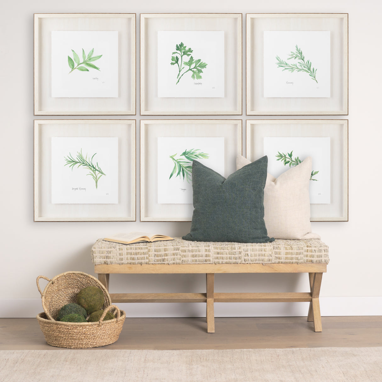 Italian Parsley v2 by Chris Paschke a Framed Art Print Matted under Glass from Mercana - Luna Furniture