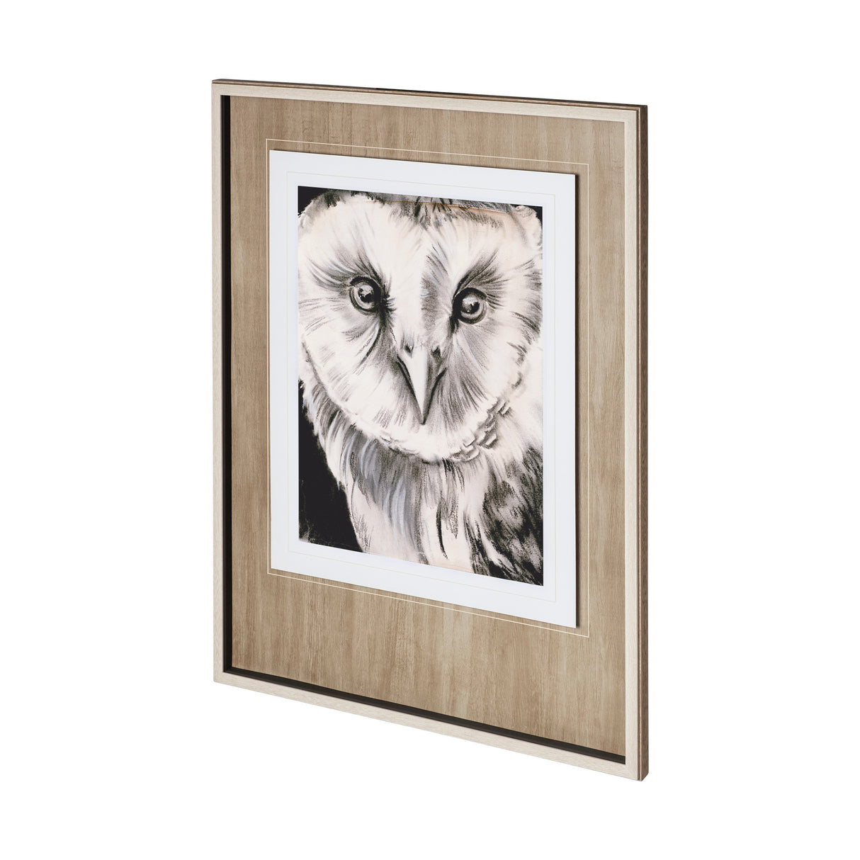Charcoal Owl II by Jennifer Paxton Parker a Framed Art Print Matted under Glass from Mercana - Luna Furniture