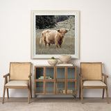 Humphry by Assaf Frank a Framed Photo Art Print Matted under Glass from Mercana - Luna Furniture