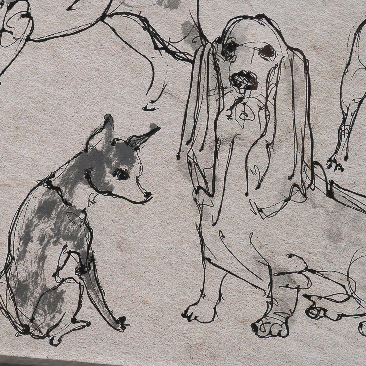 Dog Sketches II by Mercana Studio Hand Embelished Framed Artwork Matted under Glass from Mercana - Luna Furniture