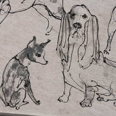 Dog Sketches II by Mercana Studio Hand Embelished Framed Artwork Matted under Glass from Mercana - Luna Furniture