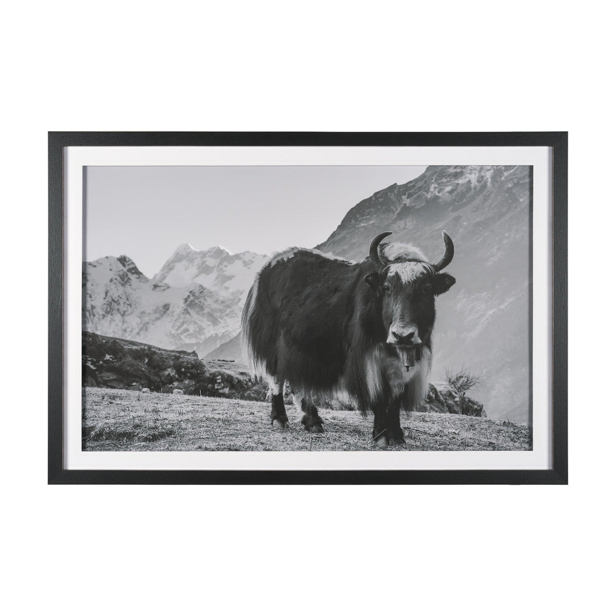 Mountain Majesty - Stance by Matt Roseveare Framed Art Print Matted under Glass from Mercana - Luna Furniture