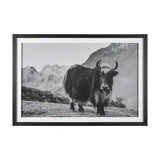 Mountain Majesty - Stance by Matt Roseveare Framed Art Print Matted under Glass from Mercana - Luna Furniture