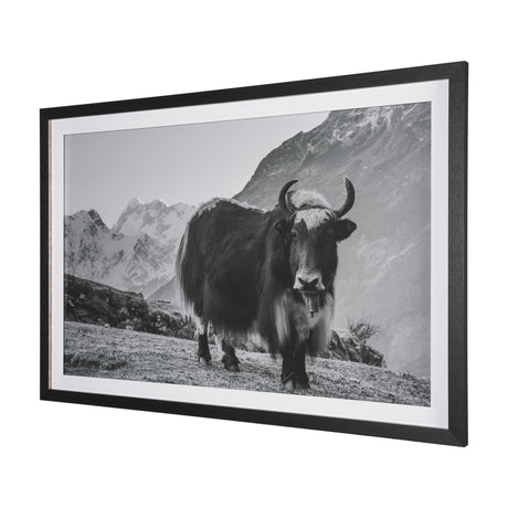 Mountain Majesty - Stance by Matt Roseveare Framed Art Print Matted under Glass from Mercana - Luna Furniture