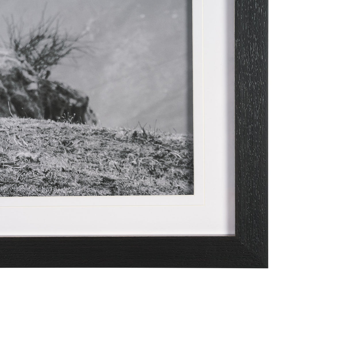 Mountain Majesty - Stance by Matt Roseveare Framed Art Print Matted under Glass from Mercana - Luna Furniture