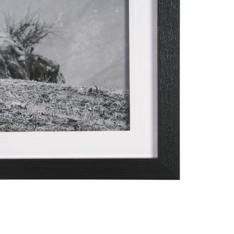Mountain Majesty - Stance by Matt Roseveare Framed Art Print Matted under Glass from Mercana - Luna Furniture
