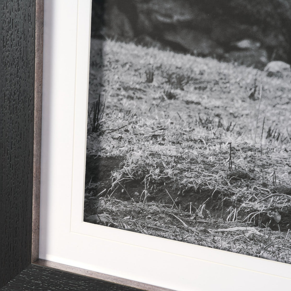 Mountain Majesty - Stance by Matt Roseveare Framed Art Print Matted under Glass from Mercana - Luna Furniture