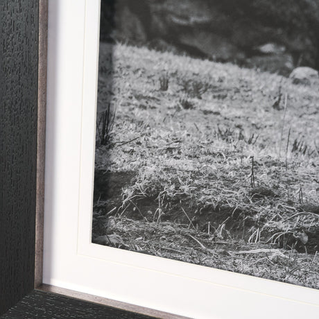 Mountain Majesty - Stance by Matt Roseveare Framed Art Print Matted under Glass from Mercana - Luna Furniture
