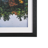 Fall Reflections by Dimitry Papkov Framed Art Print Matted under Glass from Mercana - Luna Furniture