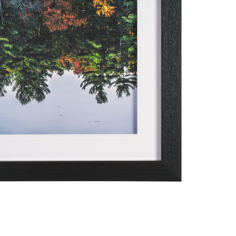 Fall Reflections by Dimitry Papkov Framed Art Print Matted under Glass from Mercana - Luna Furniture
